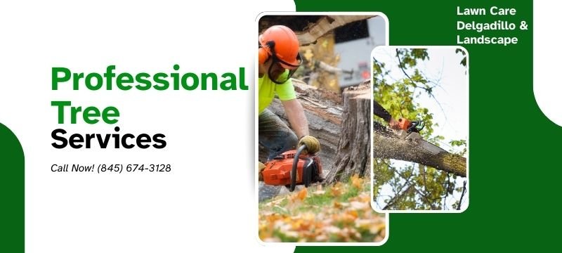 Tree cutting and tree work in Orange County NY